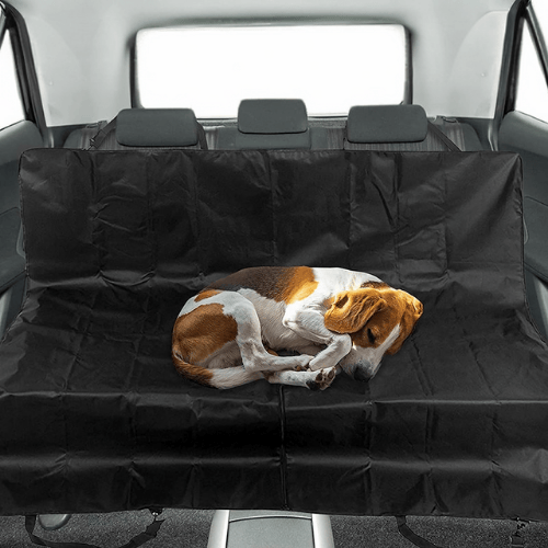 dog-car-seat-clean